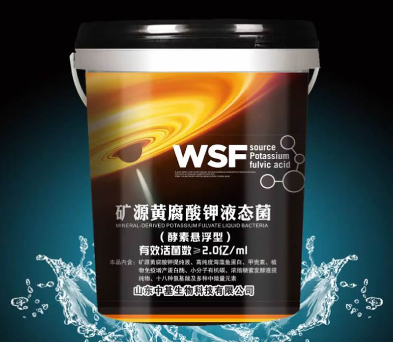 矿源黄腐酸钾液态菌